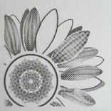<b>[Sunflower×Blackwork]</b><br>ﾌｨﾎﾞﾅｯﾁ数の右巻きと左巻きの渦が美しいひまわりの種の構造を表現するため、中心は、同じﾊﾟﾀｰﾝを反転して重ね、緻密で繊細な模様を作りました。